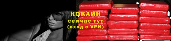 твердый Алзамай