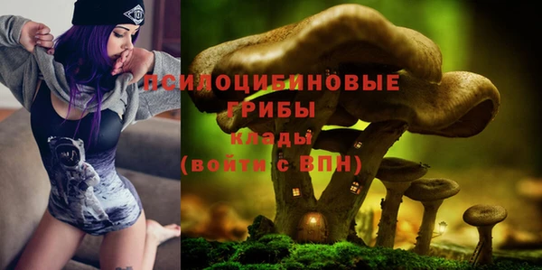стафф Алексеевка